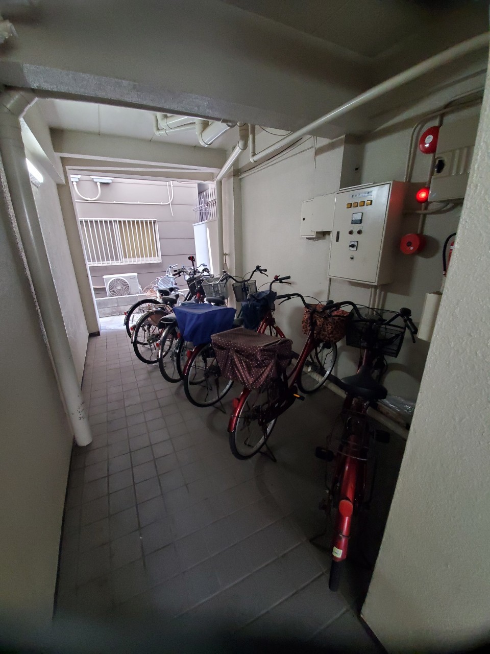 パレス住吉橋 駐輪場