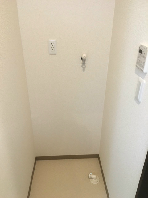 フジパレス諏訪ノ森Ｖ番館 室内洗濯機置き場