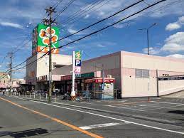 リバーサイドヒルズ ﾗｲﾌ 福泉店