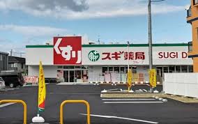 エクセレート池上 スギドラッグ 信太山店