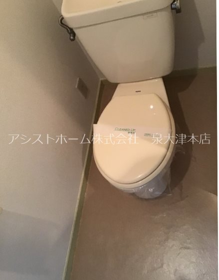 エクセルロワイエフジ トイレ