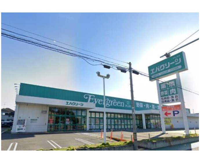 セルサス和泉 ｴﾊﾞｸﾞﾘｰﾝﾌﾟﾗｽ和泉芦部店