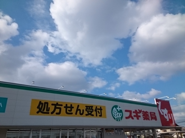 アメニティＢ スギドラッグ様まで550m