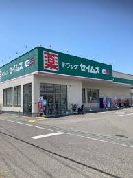 TIMBER BROOK ﾄﾞﾗｯｸﾞｾｲﾑｽ 和泉府中店
