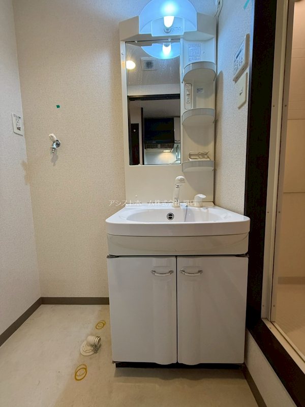 フジパレス愛泉 シャワー付き洗面化粧台