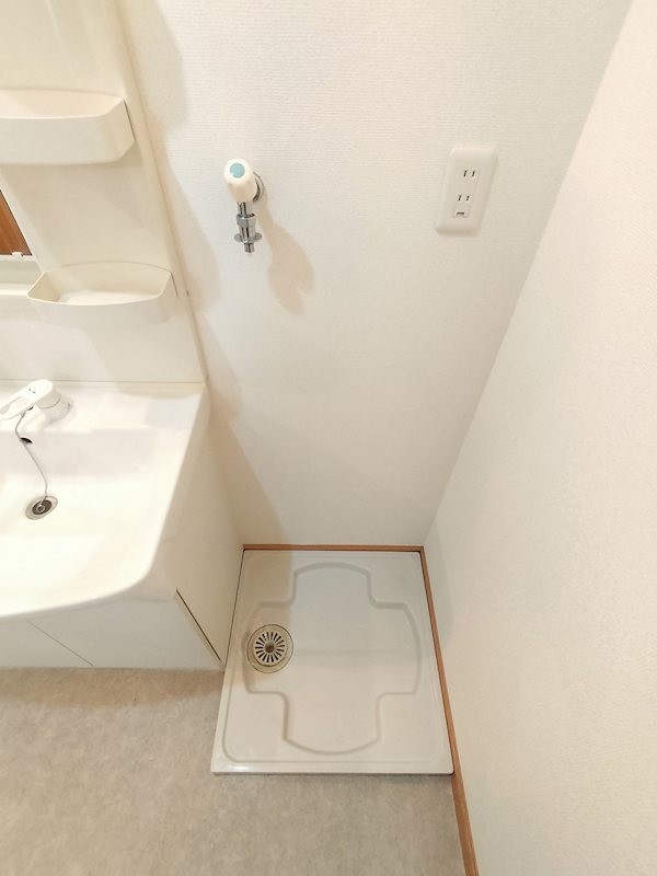 ﾙﾁｬｰﾏ 室内洗濯機置場