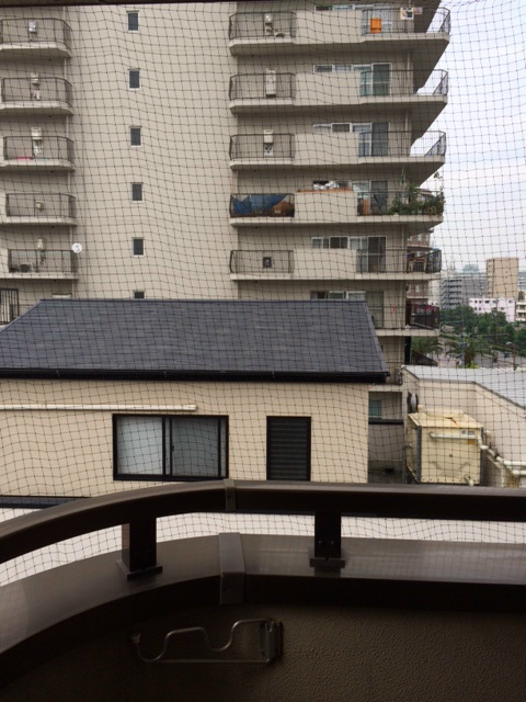 パレロイヤル堺 眺望