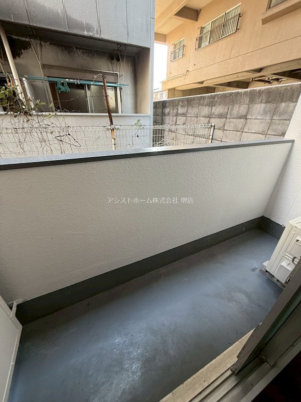 ゴールドクレスト   ベランダ