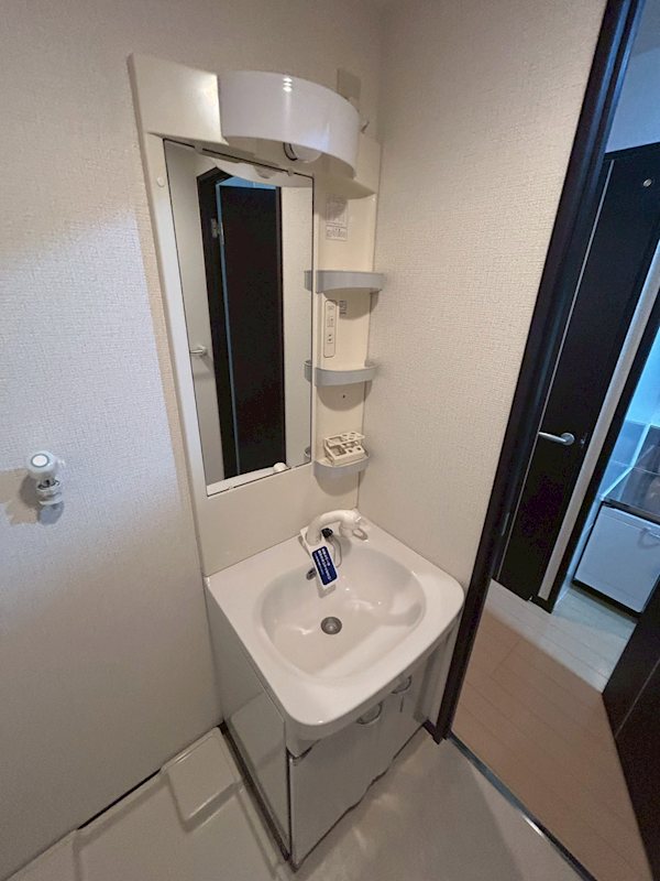 セルバ シャワー付き洗面化粧台