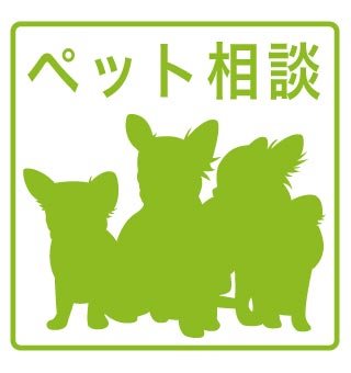 和泉市富秋町2丁目テラス その他