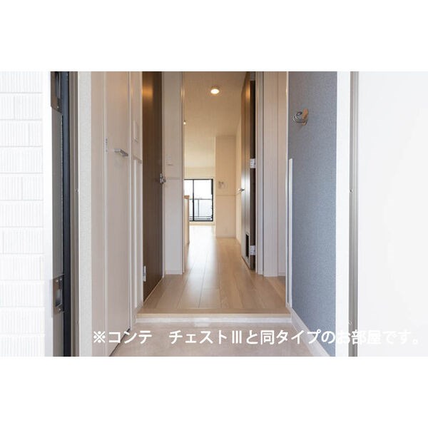 ベル　ハイネス 内装