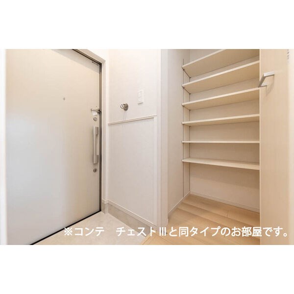 ベル　ハイネス シューズボックス付き