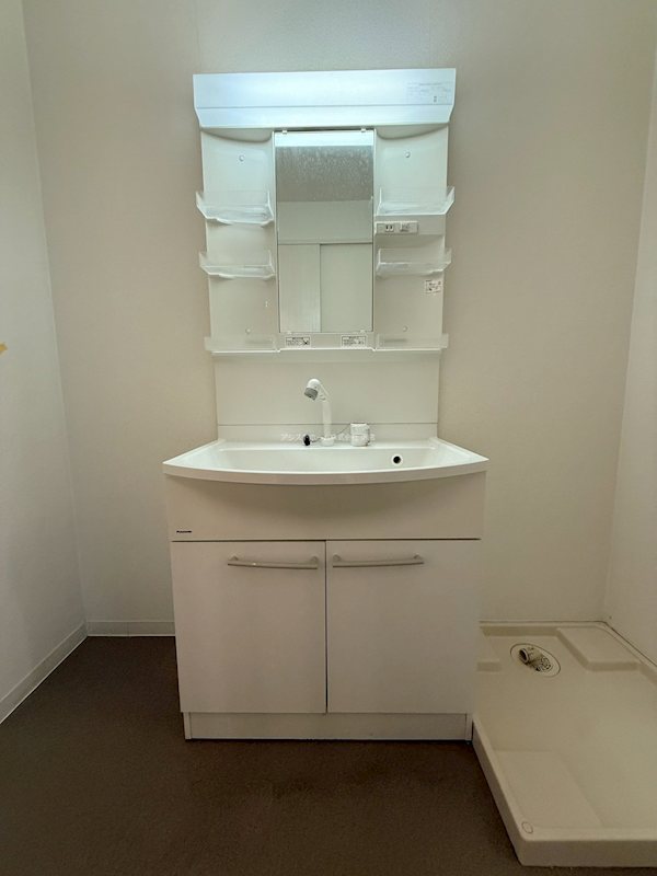 中井マンション シャワー付き化粧洗面台