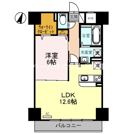 アムール・M 広々リビング１２帖♪
