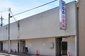 美幸荘 かねの小児科